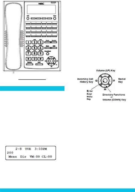 NEC DSX Digital Phone Labels - NEC DSX Distributors. . Nec sl2100 cheat sheet